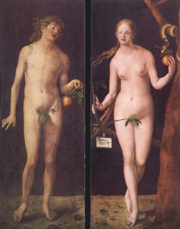 Albrecht Durer Adam and Eve